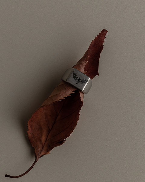 Phoenix Ring – Stainless Steel | ZUKO– ZUKO Jewellery